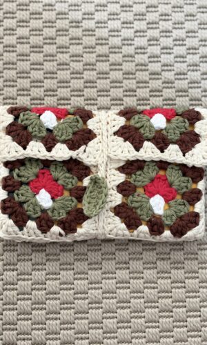 Pochette Champignon